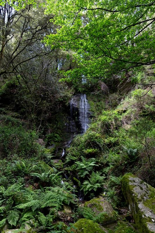 amazonie en cévennes